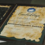 Díjat kapott a ceglédi önkormányzat (2018. 11. 06.)